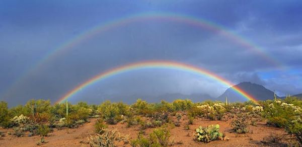 RainbowPhoto.jpg